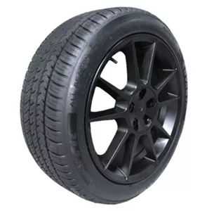 ADVANTA TIRE 1951342303 235/30R22