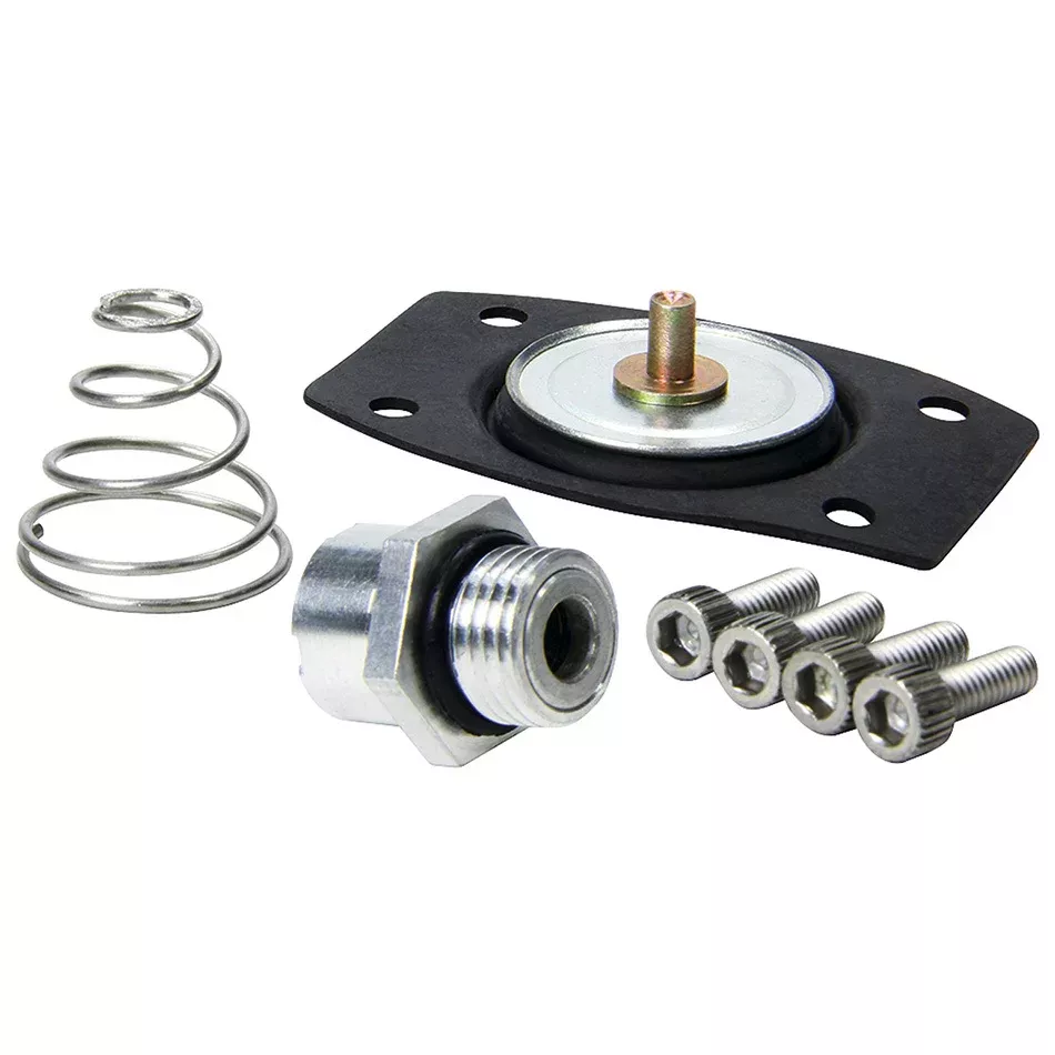 Allstar Performance - Rebuild Kit for ALL40290