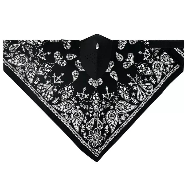 BLACK PAISLEY- WNEO101