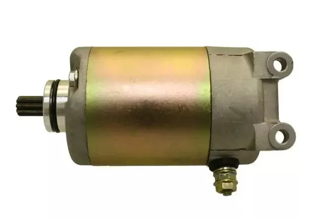 Electric Starter Motor – 250cc
