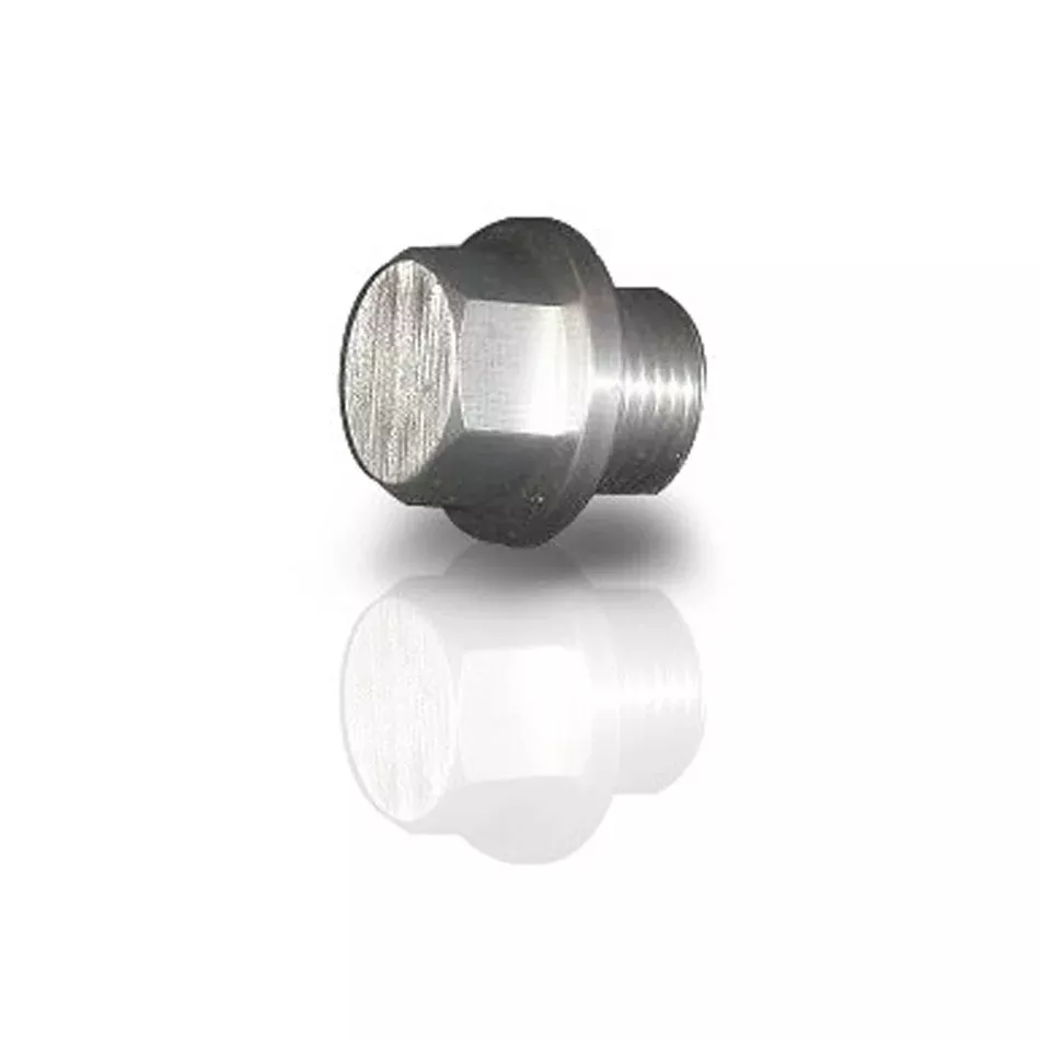 Plug for O2 bung 3/4in