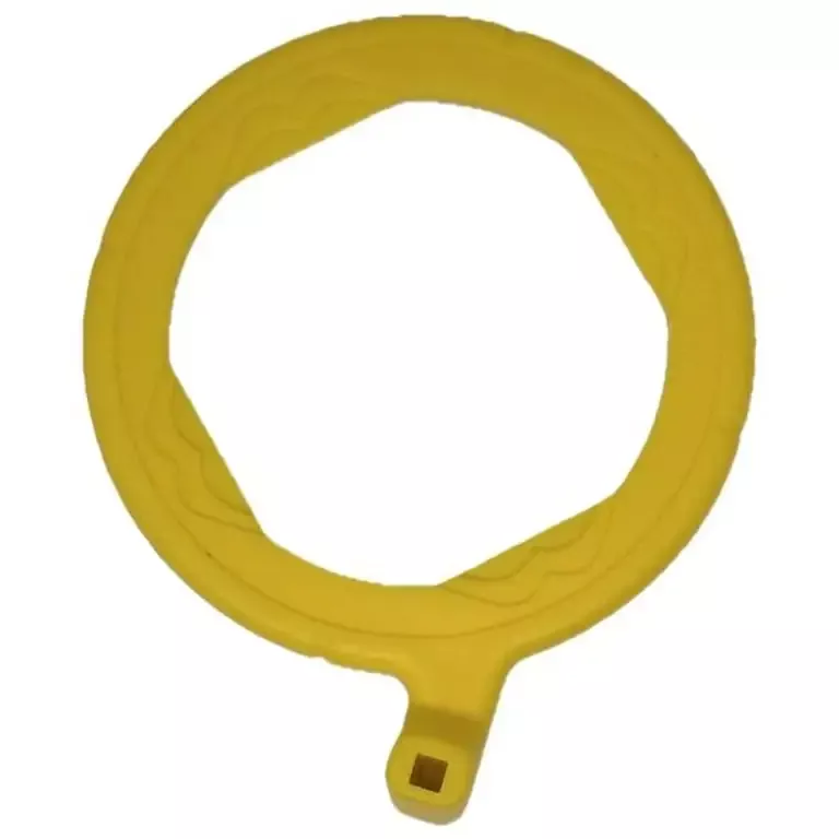 Yellow Posterior Ring